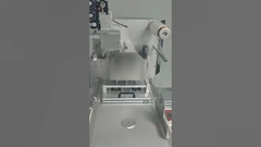 Sealerall Rice Cake Fish Modified Atmosphere Packaging  Machine