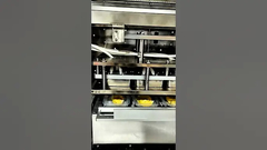 Durian MAP Modified Atmosphere Packaging  Line